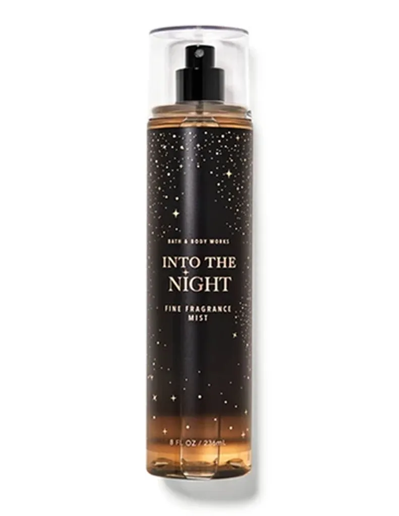 Into-The-Night.webp