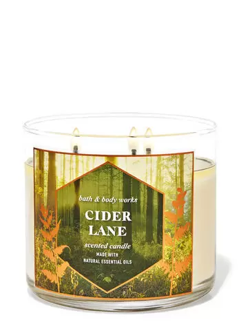 [667557142470] Bath & Body Works Candelas Cinder Lane