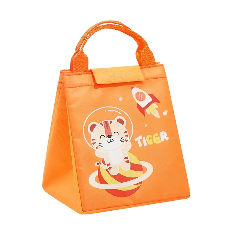 [308000580125] Bolso Térmico Para Almacenar