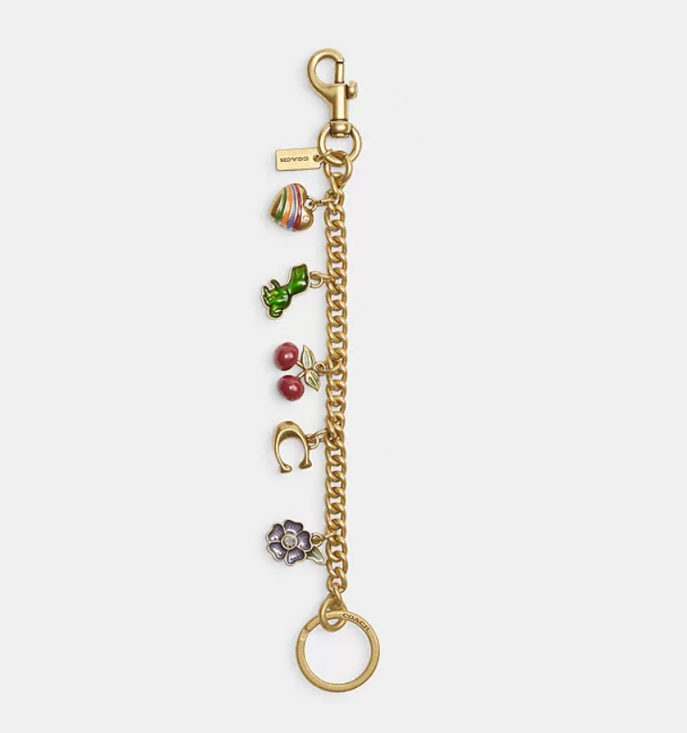 Llavero Coach Charms