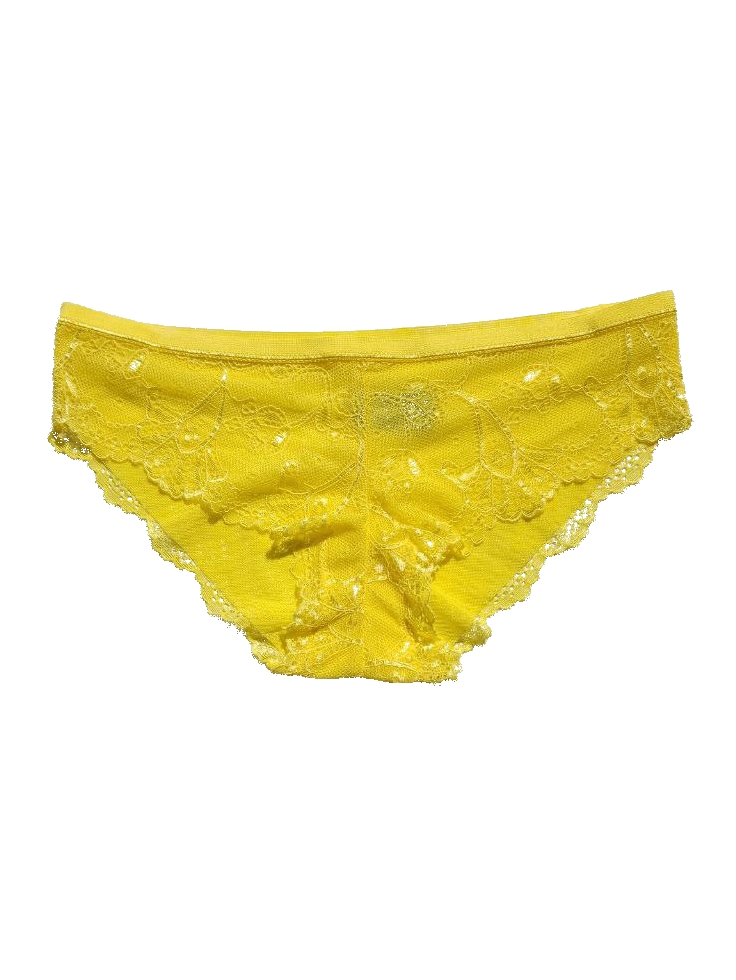 Panty Sensuel Bikini De Encaje