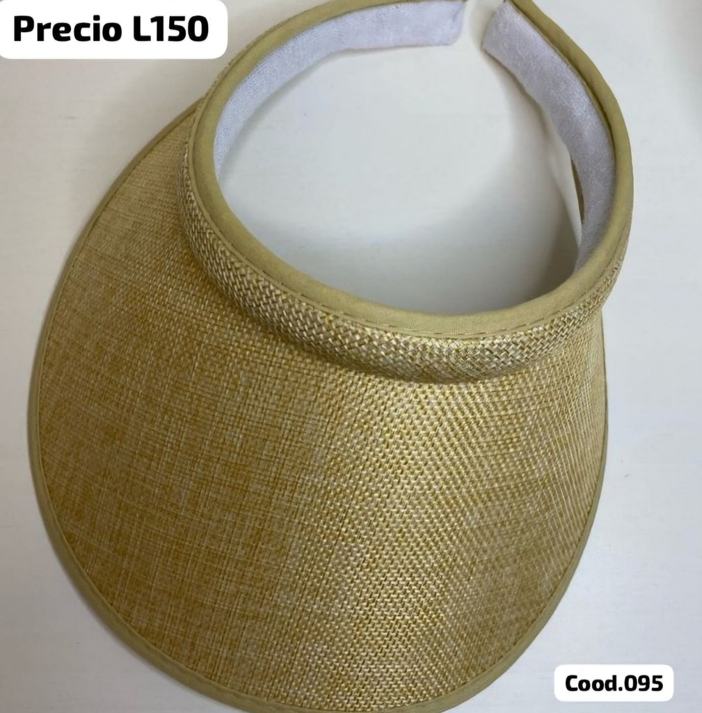 Visera