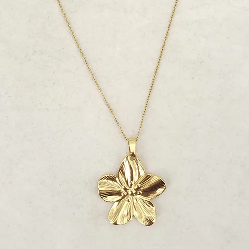 Cadena Acero
